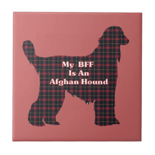 Afghanische Hound-BESTE FREUNDIN Fliese