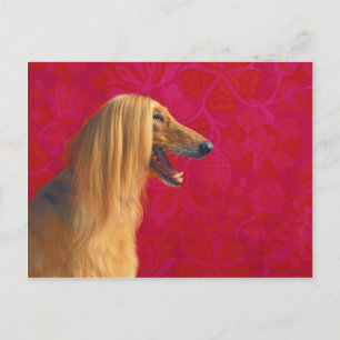 Afghanische Hundekarten und geografische Angaben Postkarte