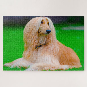 Afghanischer Grauhund Hund. Puzzle