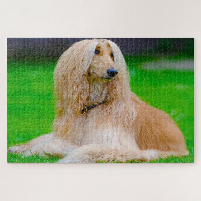 Afghanischer Grauhund Hund. Puzzle (Horizontal)