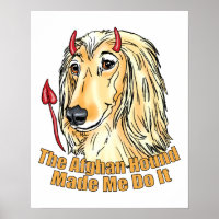 Afghanischer Hund hat mich dazu gebracht, es zu tu