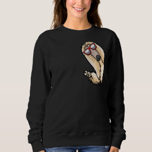Afghanischer Hund von der Seite mit Sonnenbrille Sweatshirt