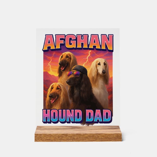 Afghanischer Windhund Acrylschild (Vorderseite)