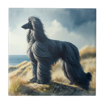 Afghanischer Windhund