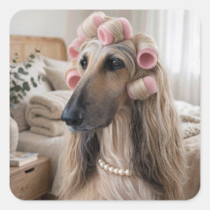 Afghanischer Windhund mit rosa Lockenwicklern Quadratischer Aufkleber