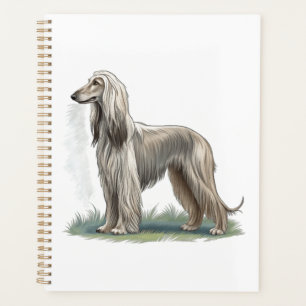 Afghanischer Windhund Planer