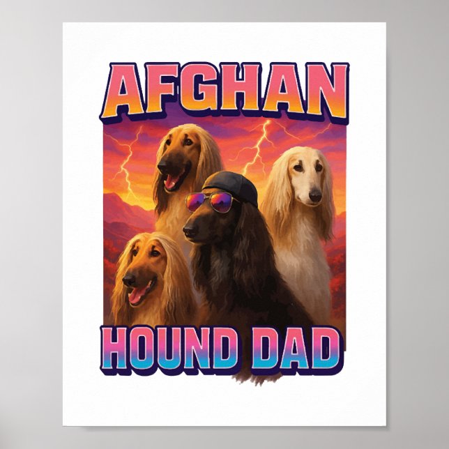 Afghanischer Windhund Poster (Vorne)