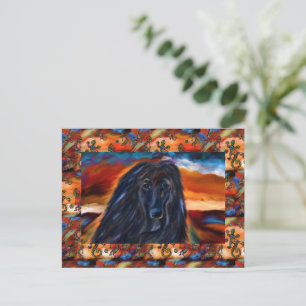 Afghanischer Windhund Postkarte
