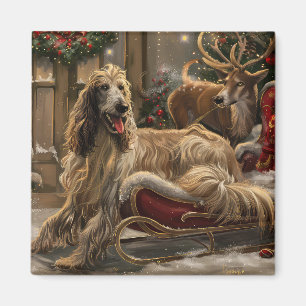 Afghanischer Windhund Weihnachten Festlich Magnet
