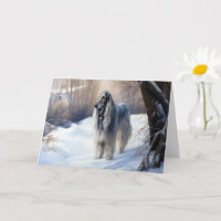 Afghanisches Hound lassen es Weihnachten schnee