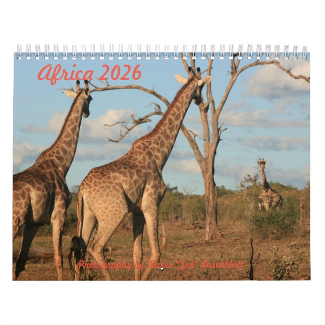 Africa - 2026 Calendar Kalender (Titelbild)