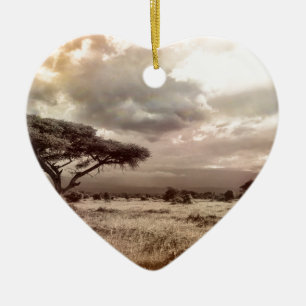 africa-944-land-wild-nature keramikornament