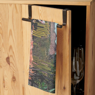 Africa Desert Landscape Nature Cactus Pflanze Geschirrtuch