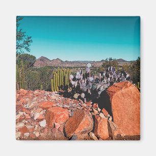 Africa Desert Landscape Nature Cactus Pflanze Magnet