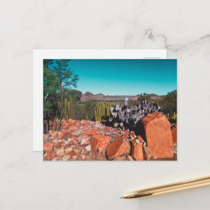 Africa Desert Landscape Nature Cactus Pflanze Postkarte
