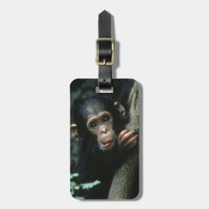 Africa, East Africa, Tansania, Gombe National Gepäckanhänger