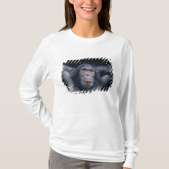 Africa, East Africa, Tansania, Gombe National T-Shirt (Vorderseite)