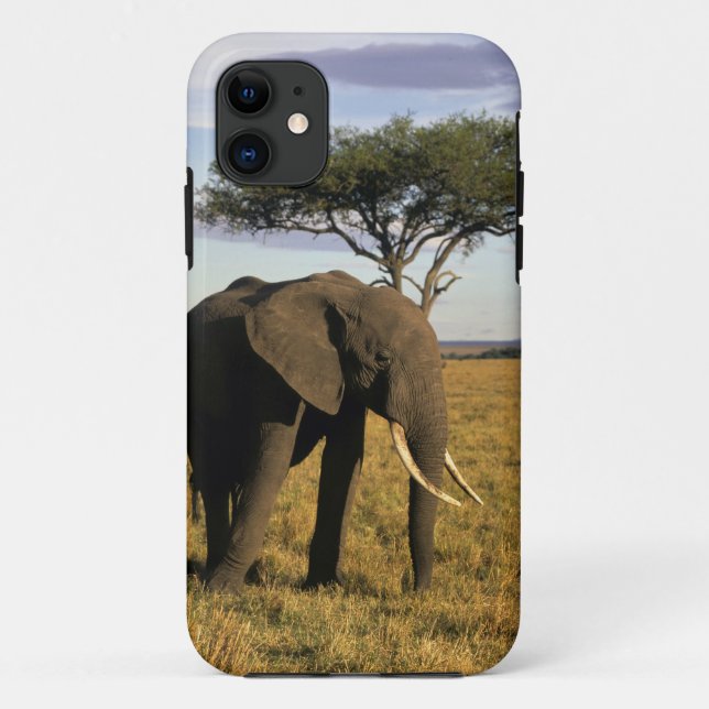 Africa, Kenia, Maasai Mara. An elehpant Case-Mate iPhone Hülle (Rückseite)