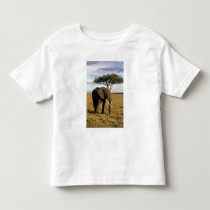 Africa, Kenia, Maasai Mara. An elehpant Kleinkind T-shirt