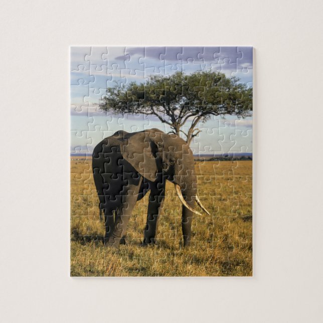 Africa, Kenia, Maasai Mara. An elehpant Puzzle (Vertikal)