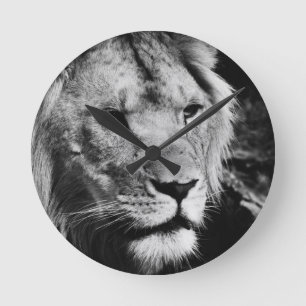 africa lion male closeup macro runde wanduhr