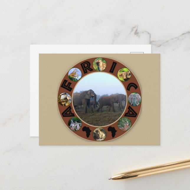 Africa Wildlife Circle Elephant Herd Mist Postkarte (Vorderseite/Rückseite Beispiel)