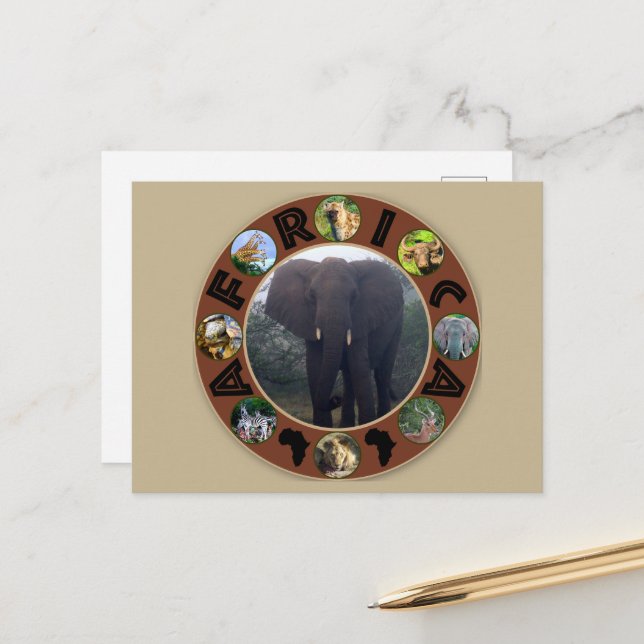 Africa Wildlife Circle Elephant Mist Postkarte (Vorderseite/Rückseite Beispiel)