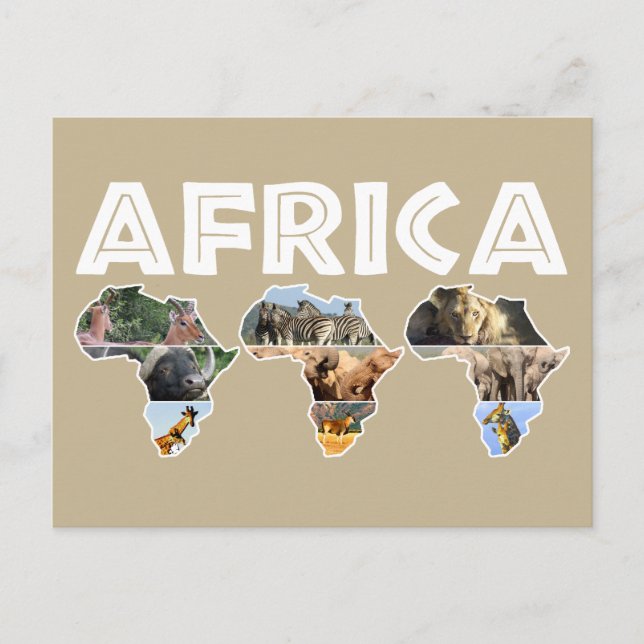Africa Wildlife Continent Trio Collage Feiertagspostkarte (Vorderseite)