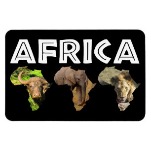 Africa Wildlife Continent Trio Magnet