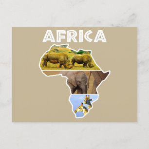 Africa Wildlife Continental Collage Holiday Postca Feiertagspostkarte