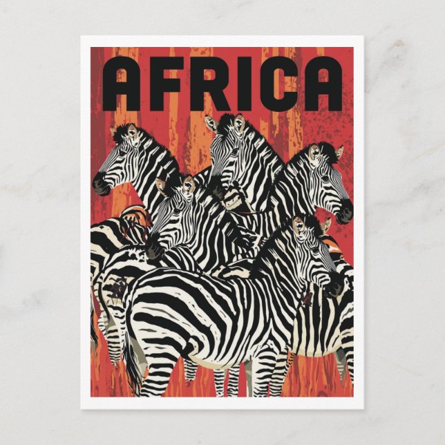 Africa Zebra Safari Vintage Art Postkarte (Vorderseite)