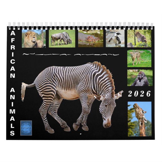 African animals 12 month calendar kalender (Titelbild)