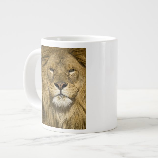 African Barbary Lion, Panthera leo leo, Jumbo-Tasse (Vorderseite Links)