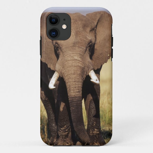 African Bush Elephant Case-Mate iPhone Hülle (Rückseite)