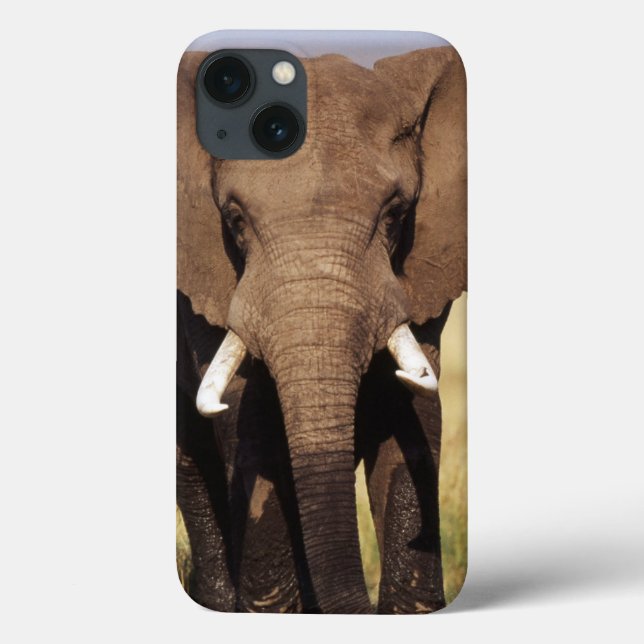 African Bush Elephant Case-Mate iPhone Hülle (Rückseite)