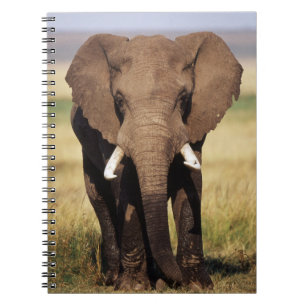 African Bush Elephant Notizblock