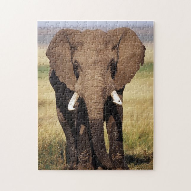 African Bush Elephant Puzzle (Vertikal)