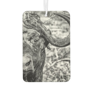 African Cape Buffalo Portrait Air Freshener Autolufterfrischer