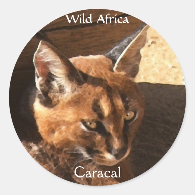 AFRICAN CARACAL WildCat Wildlife Stickers (Vorderseite)