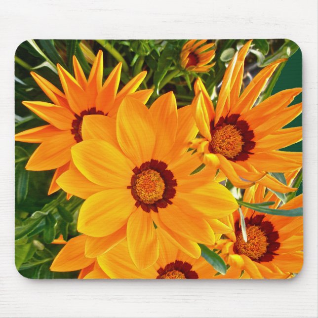 African Daisies Mousepad (Vorne)