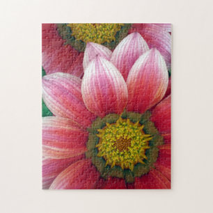 African Daisies Puzzle