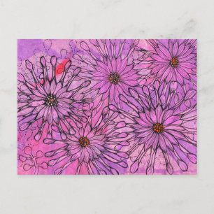African Daisy Cape Daisies Pink Blume Blumenstrauß Postkarte