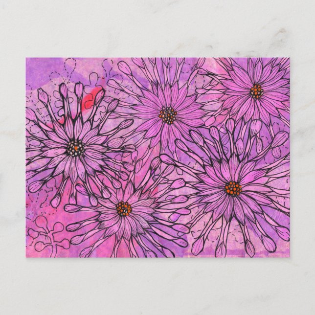 African Daisy Cape Daisies Pink Blume Blumenstrauß Postkarte (Vorderseite)