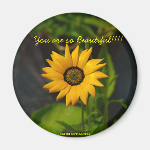 African Daisy Circle Magnet