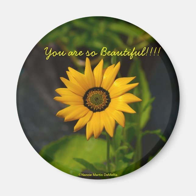 African Daisy Circle Magnet (Vorne)