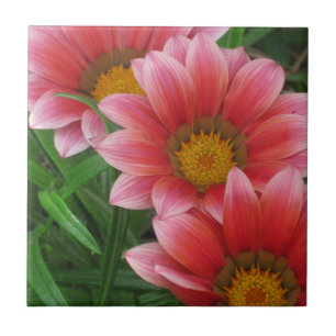 African Daisy Fliese
