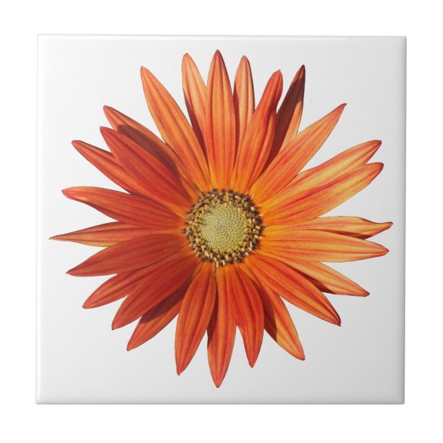 African Daisy Fliese (Vorderseite)