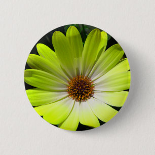 African Daisy Fluorescent Yellow Button