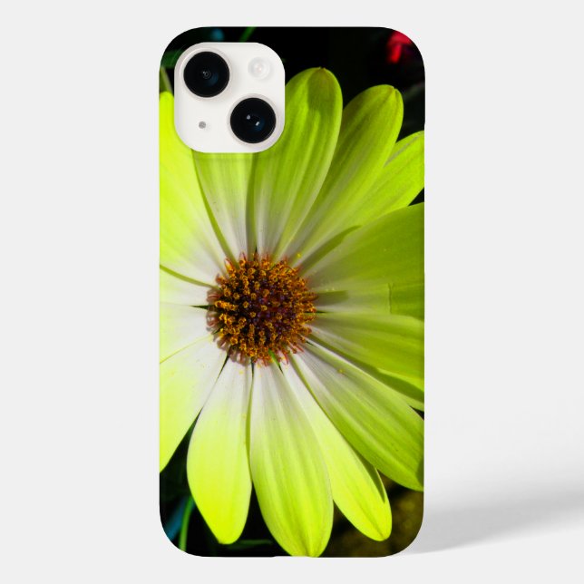 African Daisy Fluorescent Yellow Case-Mate iPhone Hülle (Rückseite)