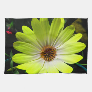 African Daisy Fluorescent Yellow Kittuch Küchentuch